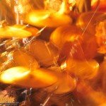 Noisear - Philly House Shows