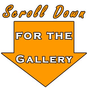 Camp-Bisco-Photo-Gallery